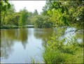 etang lac peche bois foret domaine a vendre vente pays loire atlantique 44 Retz Vendee 85 tourisme concours peche nantes nort erdre casson petit mars terrain loisir hectare vivier pecherie professionnel pisciculture lac plan d eau french property for sale