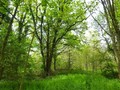maison propriete longere manoir chateau belle demeure maison campagne residence secondaire ferme propriete equestre moulin etang lac foret a vendre vente hectare piscine tennis golf loire atlantique 44 vendee 85 retz baule nantes pornic olonne yon guerand