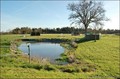 maison campagne longere caractere renovee a vendre propriete equestre hectare vendee 85 pays loire atlantique 44 retz french equestrian property for sale green acres ocean roche yon chaize vicomte la baule savenay st brevin nantes saint nazaire pouliguen