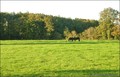 maison campagne longere caractere renovee a vendre propriete equestre hectare vendee 85 pays loire atlantique 44 retz french equestrian property for sale green acres ocean roche yon chaize vicomte la baule savenay st brevin nantes saint nazaire pouliguen