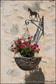 maison campagne longere caractere renovee a vendre propriete equestre hectare vendee 85 pays loire atlantique 44 retz french equestrian property for sale green acres ocean roche yon chaize vicomte la baule savenay st brevin nantes saint nazaire pouliguen