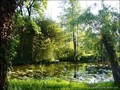 A vendre vente maison charme propriete moulin caractere belle demeure rennes nantes derval bain de bretagne chateaubriant grand fougeray 44 loire atlantique 35 ile vilaine hectare etang riviere french property for sale rennes nantes vendee atlantic manor