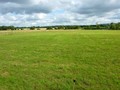 French properties for sale vendee france property house home farm cottage manor castle for sale loire france brittany real estate agency swimming pool tennis golf equestrian land area hectarage gite b&b propriete a vendre manoir chateau vente nantes baule