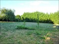 A vendre maison ancienne bourgeoise villa belle demeure charme lycee college ecole centre ville chantonnay vendee 85 pays loire atlantique vente home house for sale vendee 5 chambres bedrooms