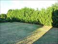 A vendre maison ancienne bourgeoise villa belle demeure charme lycee college ecole centre ville chantonnay vendee 85 pays loire atlantique vente home house for sale vendee 5 chambres bedrooms