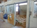 vente centre equestre poney club ecurie a vendre club hippique piste domaine elevage haras pays loire atlantique vendee bretagne ferme propriete equestre farm equestrian property hectare