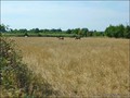vente centre equestre poney club ecurie a vendre club hippique piste domaine elevage haras pays loire atlantique vendee bretagne ferme propriete equestre farm equestrian property hectare