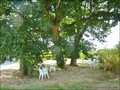 vente centre equestre poney club ecurie a vendre club hippique piste domaine elevage haras pays loire atlantique vendee bretagne ferme propriete equestre farm equestrian property hectare