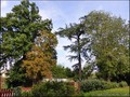 A vendre maison ville bourgeoise belle demeure vente cuisine professionnelle traiteur artisan patissier profession liberale restaurant loire-atlantique 44 nantes savenay blain nozay rennes bretagne 35 terrain constructible