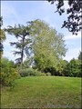 A vendre maison ville bourgeoise belle demeure vente cuisine professionnelle traiteur artisan patissier profession liberale restaurant loire-atlantique 44 nantes savenay blain nozay rennes bretagne 35 terrain constructible