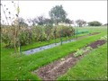 maison hectare a vendre propriete equestre ecurie boxe demeure campagne renovee vendee 85 saint st etienne bois challans aizenay la roche sur yon palluau lege les lucs sur boulogne nantes beaufou vente french property for sale