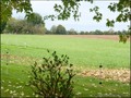 maison hectare a vendre propriete equestre ecurie boxe demeure campagne renovee vendee 85 saint st etienne bois challans aizenay la roche sur yon palluau lege les lucs sur boulogne nantes beaufou vente french property for sale