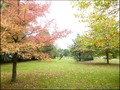 maison hectare a vendre propriete equestre ecurie boxe demeure campagne renovee vendee 85 saint st etienne bois challans aizenay la roche sur yon palluau lege les lucs sur boulogne nantes beaufou vente french property for sale