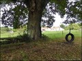 A vendre maison propriete gite meublé locatif b&b bed and breakfast vendee france loire atlantique piscine hectare vente campagne french house home propertie for sale swimming pool country farm castle mansion manor farm property atlantic coast france rea