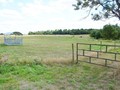 vente propriete nantes, vente propriete loire atlantique 44, propriete, a vendre, hectare, 44, Vendee, 85, propriete a vendre Vendee, propriete equestre, remouille, montaigu, Nantes, hectare a vendre, vente propriete, 