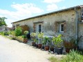 vente propriete nantes, vente propriete loire atlantique 44, propriete, a vendre, hectare, 44, Vendee, 85, propriete a vendre Vendee, propriete equestre, remouille, montaigu, Nantes, hectare a vendre, vente propriete, 