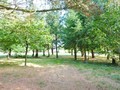 maison, villa, a vendre, vente, achat, propriete, golf, la baule, loire atlantique, pays loire, pays retz, maison a vendre, vente villa golf la baule, maison a vendre golf, villa vendre golf, vente maison golf la baule, villa vendre golf la baule,  
