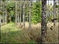 Propriete investissement a vendre, maison revenu locatif, vente maison maitre, bourgeoise, villa, nantes, bouaye, brains, st leger les vignes, piscine, hectare, dependance, gite, b&b, chambre hote, a vendre, pornic, belle demeure, pays retz, achat, 44 85 