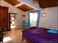 propriete a vendre vendee pays retz challans machecoul nantes pornic belle demeure maison prestige charme ancienne renovee hectare parc etang piscine spa chambre hote gite bois sallertaine pornic 44 85 vente immobilier caractere french property for sale