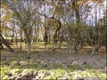 propriete a vendre vendee pays retz challans machecoul nantes pornic belle demeure maison prestige charme ancienne renovee hectare parc etang piscine spa chambre hote gite bois sallertaine pornic 44 85 vente immobilier caractere french property for sale