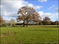 propriete a vendre vendee pays retz challans machecoul nantes pornic belle demeure maison prestige charme ancienne renovee hectare parc etang piscine spa chambre hote gite bois sallertaine pornic 44 85 vente immobilier caractere french property for sale