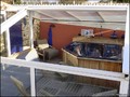 propriete a vendre vendee pays retz challans machecoul nantes pornic belle demeure maison prestige charme ancienne renovee hectare parc etang piscine spa chambre hote gite bois sallertaine pornic 44 85 vente immobilier caractere french property for sale