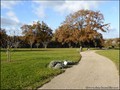 propriete a vendre vendee pays retz challans machecoul nantes pornic belle demeure maison prestige charme ancienne renovee hectare parc etang piscine spa chambre hote gite bois sallertaine pornic 44 85 vente immobilier caractere french property for sale