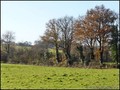 propriete a vendre maison ferme dependance gite b&b chambre hote vente immobilier vendee 85 achat projet roche sur yon aizenay challans st gilles croix vie hectare etang peche equestre investissement french properties property for sale france vendee retz