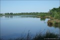 Vente Propriete Bois Etang Pecherie Chasse Domaine a vendre territoire peche lac hectare Nantes Vannes Rennes 44 35 56 Pays Loire Atlantique Ile Vilaine Morbihan terrain agricole ferme a renover propriete rurale vivier chasse a vendre etang poissonneux