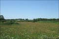 Vente Propriete Bois Etang Pecherie Chasse Domaine a vendre territoire peche lac hectare Nantes Vannes Rennes 44 35 56 Pays Loire Atlantique Ile Vilaine Morbihan terrain agricole ferme a renover propriete rurale vivier chasse a vendre etang poissonneux