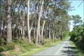 Vente Propriete Bois Etang Pecherie Chasse Domaine a vendre territoire peche lac hectare Nantes Vannes Rennes 44 35 56 Pays Loire Atlantique Ile Vilaine Morbihan terrain agricole ferme a renover propriete rurale vivier chasse a vendre etang poissonneux