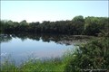 Vente Propriete Bois Etang Pecherie Chasse Domaine a vendre territoire peche lac hectare Nantes Vannes Rennes 44 35 56 Pays Loire Atlantique Ile Vilaine Morbihan terrain agricole ferme a renover propriete rurale vivier chasse a vendre etang poissonneux