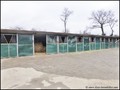 Propriete equestre a vendre ecurie a vendre haras piste galop trot vente propriete a vendre loire atlantique propriete a vendre ile et vilaine propriete a vendre vendee hectare achat nantes rennes vannes la baule pornic propriete a vendre morbihan 44 