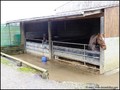 Propriete equestre a vendre ecurie a vendre haras piste galop trot vente propriete a vendre loire atlantique propriete a vendre ile et vilaine propriete a vendre vendee hectare achat nantes rennes vannes la baule pornic propriete a vendre morbihan 44 