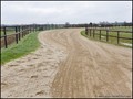 Propriete equestre a vendre ecurie a vendre haras piste galop trot vente propriete a vendre loire atlantique propriete a vendre ile et vilaine propriete a vendre vendee hectare achat nantes rennes vannes la baule pornic propriete a vendre morbihan 44 