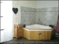 A vendre maison demeure bourgeoise charme caractere lucon sainte Ste hermine chantonnay sud vendee 85 parc jardin piscine dependance ocean plage la tranche sur mer vente achat french house caracter for sale atlantic coast france, La Rochelle, Mareuil