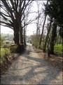 A vendre, maison caractere, demeure de charme, belle demeure, maison ancienne, moulin, propriete, vente, lucs sur boulogne, rocheserviere, montaigu, lege, l herbergement, 85, vendee, la roche sur yon, nantes, maison riviere a vendre, dependance, campagne