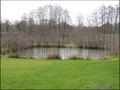 Maison en pierre a vendre, grange renovee a vendre, vente maison de caractere, belle demeure, maison de campagne, maison de charme, achat, propriete, maison avec etang, geothermie, la roche sur yon, saligny, belleville vie, chauche, les essarts, vendee