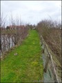 Maison en pierre a vendre, grange renovee a vendre, vente maison de caractere, belle demeure, maison de campagne, maison de charme, achat, propriete, maison avec etang, geothermie, la roche sur yon, saligny, belleville vie, chauche, les essarts, vendee