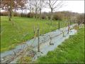 Maison en pierre a vendre, grange renovee a vendre, vente maison de caractere, belle demeure, maison de campagne, maison de charme, achat, propriete, maison avec etang, geothermie, la roche sur yon, saligny, belleville vie, chauche, les essarts, vendee