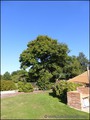A vendre propriete maison longere hectare piscine ecurie 44 orvault st saint etienne montluc coueron sautron vigneux bretagne vente equestre property for sale nantes france pays hangar atelier dependance profession liberale 44 85