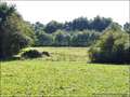 A vendre propriete maison longere hectare piscine ecurie 44 orvault st saint etienne montluc coueron sautron vigneux bretagne vente equestre property for sale nantes france pays hangar atelier dependance profession liberale 44 85
