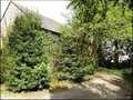 Maison maitre a vendre, belle demeure, maison charme, parc, etang, propriete a vendre, nozay, abbaretz, blain, nort sur erdre, chateaubriant, 44, agence immobiliere, pays de loire atlantique, french properties for sale, caracter house for sale france,