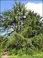 Maison maitre a vendre, belle demeure, maison charme, parc, etang, propriete a vendre, nozay, abbaretz, blain, nort sur erdre, chateaubriant, 44, agence immobiliere, pays de loire atlantique, french properties for sale, caracter house for sale france,