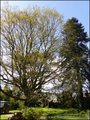 Maison maitre a vendre, belle demeure, maison charme, parc, etang, propriete a vendre, nozay, abbaretz, blain, nort sur erdre, chateaubriant, 44, agence immobiliere, pays de loire atlantique, french properties for sale, caracter house for sale france,