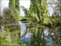 Propriété a vendre Nantes, maison hectare à vendre pays retz, Maison caractere a vendre, Propriete, hectare, nantes, pornic, frossay, saint viaud, st père en retz, le pellerin, chemere, ste pazanne, vente, properties for sale, loire, atlantic, vendee,