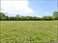 Propriété a vendre Nantes, maison hectare à vendre pays retz, Maison caractere a vendre, Propriete, hectare, nantes, pornic, frossay, saint viaud, st père en retz, le pellerin, chemere, ste pazanne, vente, properties for sale, loire, atlantic, vendee,