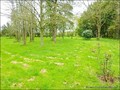 a vendre manoir maison charme a renover caractere belle demeure propriete dependance hectare etang campagne domaine vendee pays loire atlantique french properties for sale vendean manor castle property real estate agency atlantic loire west coast france