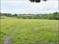 44 49 propriete equestre a vendre, vente belle demeure, maison hectare a vendre, oudon, ancenis, nantes, angers, loire atlantique, maine et loire, maison caractere, agence immobiliere propriete, real estate agency france, loire valley, vendee, properties