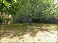 belle demeure a vendre, maison dependance a vendre, maison caractere a vendre, maison maitre, vente bouaye, vente, Nantes, Port saint pere, Sainte pazanne, chemere, St mars de coutais, 44, 44680, real estate agency, Loire, Vendee, loire atlantique 44710